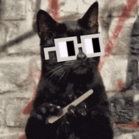 A black cat wearing pixel sunglasses